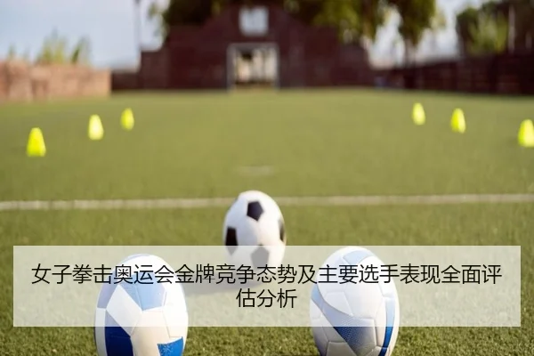 女子拳击奥运会金牌竞争态势及主要选手表现全面评估分析（LEYU SPORTS）